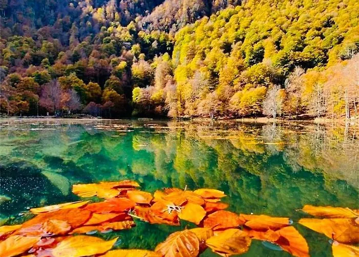 Hébergement de vacances Loft24 Fibre Ussat