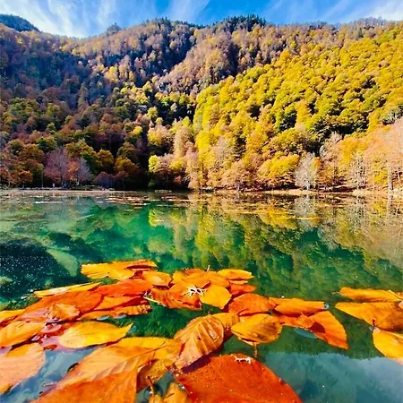 Nyaraló Loft24 Fibre Ussat