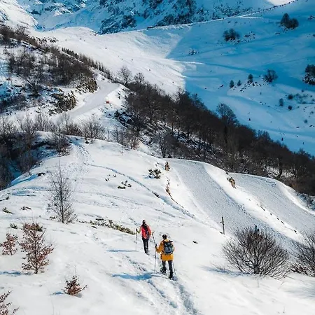 Vakantiehuis Loft24 Fibre *